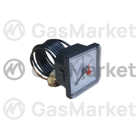 Манометр  для котлов Protherm Медведь PLO/KLO/KLOM/KLZ/Гризли/Тигр   0020027570