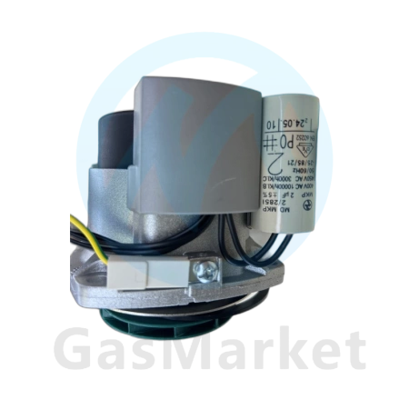 Двигатель цирк. насоса INTVACL 15/5-2  для котлов Protherm Гепард/Пантера v.19   0020097216.D