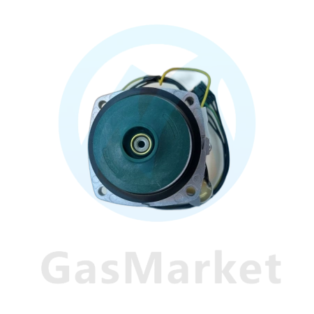 Двигатель цирк. насоса INTVACL 15/5-2  для котлов Protherm Гепард/Пантера v.19   0020097216.D