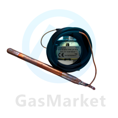 Термостат продуктов сгорания 63°C для котлов Protherm    0020137096